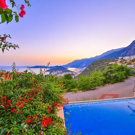 Villa Noyan