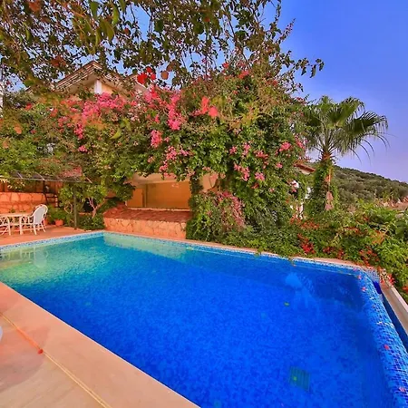 Villa Noyan *