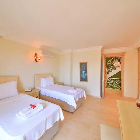 Noyan Villa