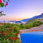 فيلة Noyan