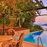 Noyan فيلة كاس